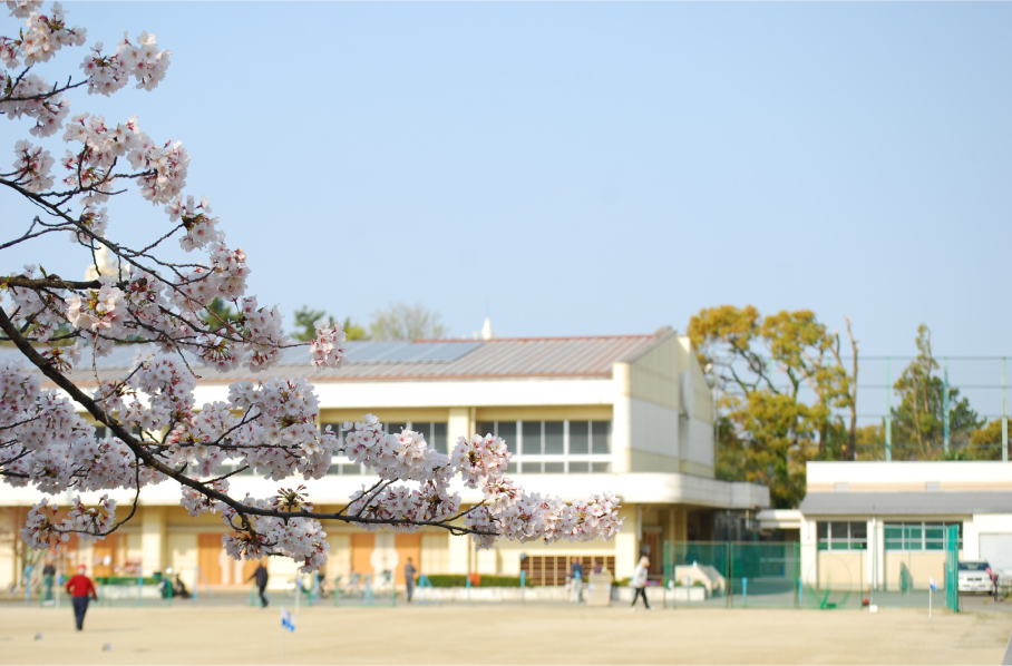 学校